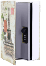 Mühlen Secret Safe 240-P